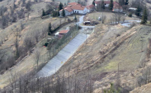 Campo del pallone elastico